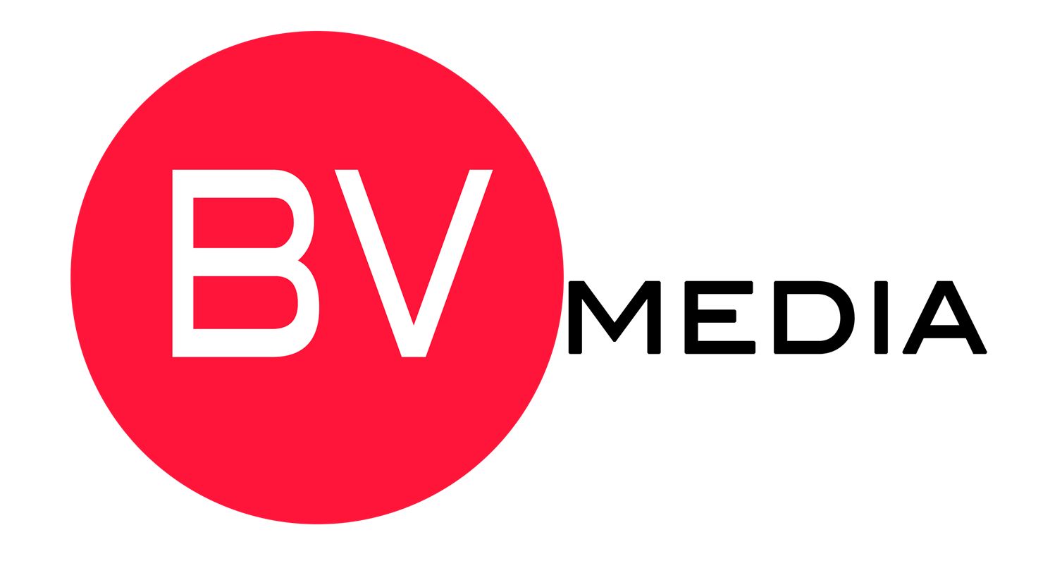 
											BVMedia